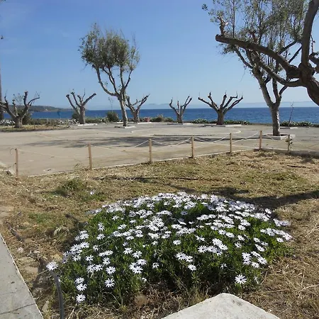 Arsenakos 2* Neápolis